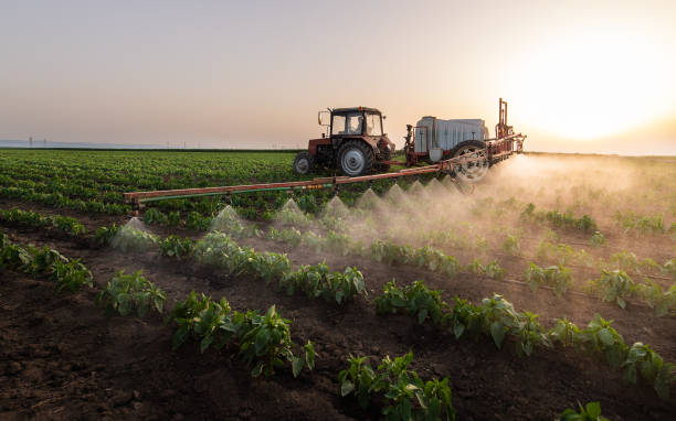 Professional Pest Control in Owens Cross Roads, AL