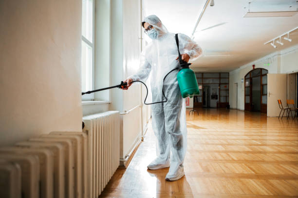 Best Wasp Removal Services  in Owens Cross Roads, AL