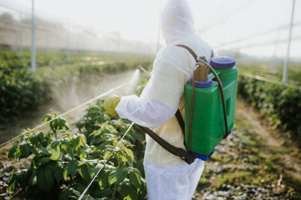 Best Residential Pest Control  in Owens Cross Roads, AL